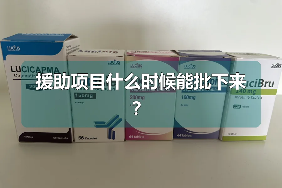 援助项目什么时候能批下来?